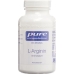 PURE L-ARGININ