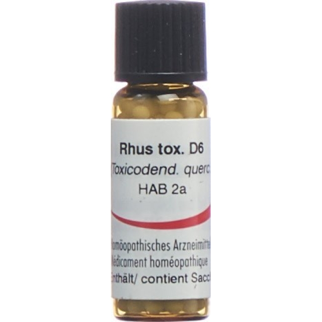 OMIDA RHUS TOXICODENDRON 6