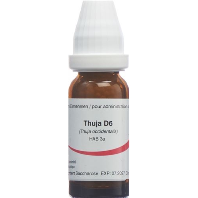 OMIDA THUJA 6D