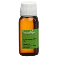 SN RIBES NIGRUM BG GLYC MAZ DH SN RIBES NIGRUM BG GLYC MAZ DH