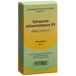 Phytomed Gemmo Schwarze Johannisbeere D 1 30мл