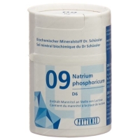 Phytomed Schussler Nr. 9 таблеток D 6 Lactosefrei 200 штук