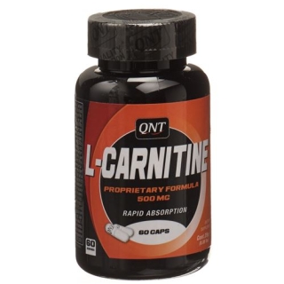 QNT L-CARNITINE 500MG