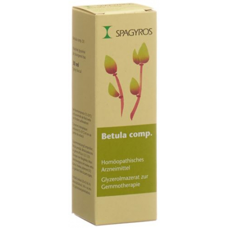 Spagyros Gemmo Betula Comp Glyc Maz D 1 30мл