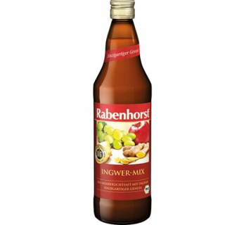 RABENHORST INGWER MIX SAFT BIO