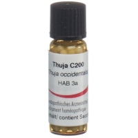 OMIDA THUJA GLOB C 200 14