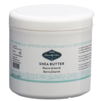 BONNEVILLE SHEABUTTER DS 500 M
