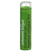SN HYPERICUM PERFORATUM CH5
