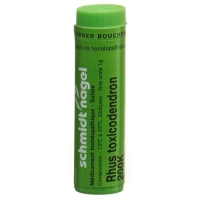 SN RHUS TOXICODENDRON 200K SN RHUS TOXICODENDRON 200K