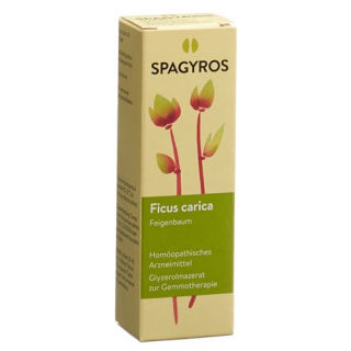 Spagyros Gemmo Ficus Carica Glyc Maz D 1 30мл