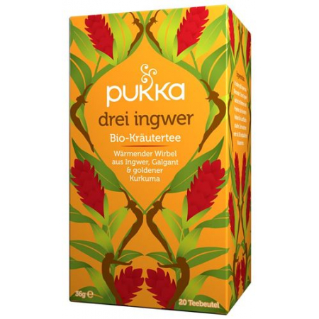 PUKKA DREI INGWER TEE BIO