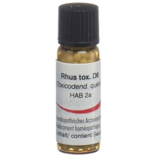 OMIDA RHUS TOXICODENDRON 6