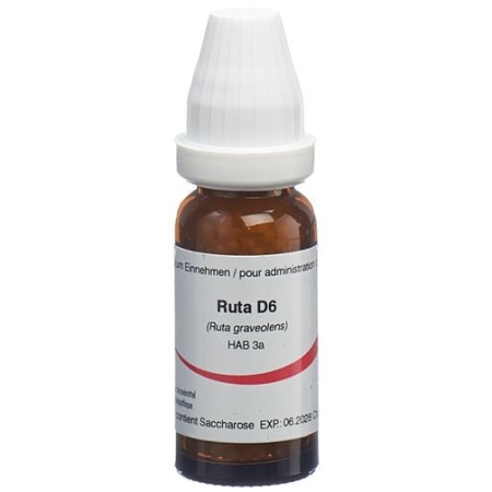 OMIDA RUTA GLOB D 6 2 G