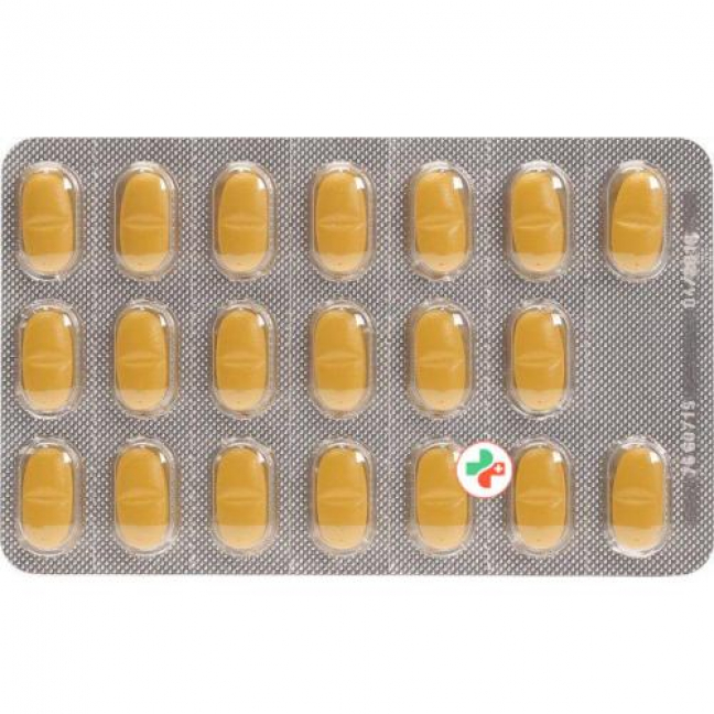 Tebokan 120 mg 120 filmtablets