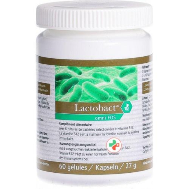 Lactobact Omni Fos в капсулах доза 60 штук