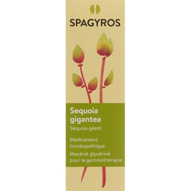 SPAGYROS GEMMO Sequoia gigant Glyc Maz D 4