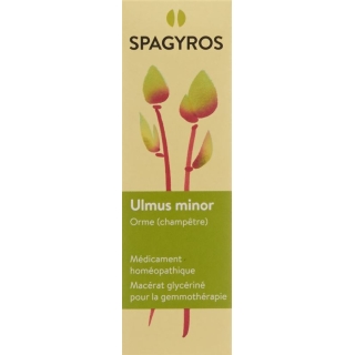 SPAGYROS GEMMO Ulmus minor Glyc Maz D 1