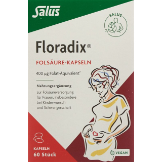 Floradix Фолиевая кислота капсулы 60 шт.