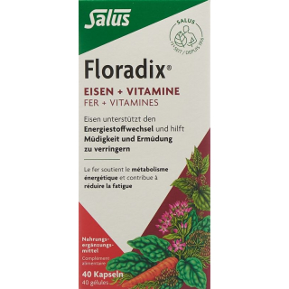 FLORADIX железо + витаминные капсулы
