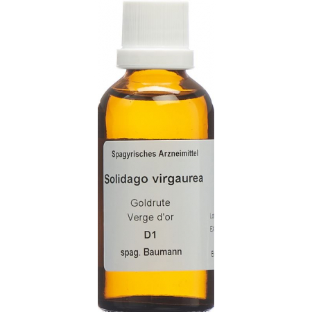 SPAGYROS SPAGYR Solidago virgaurea