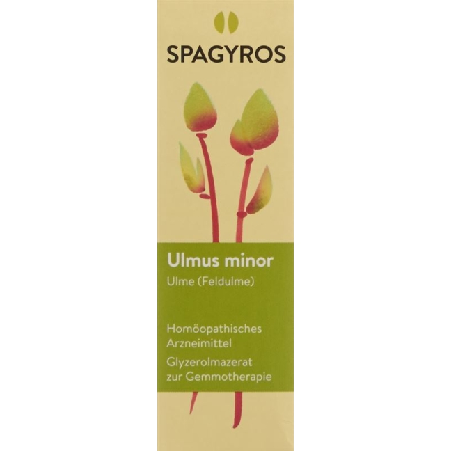 SPAGYROS GEMMO Ulmus minor Glyc Maz D 1