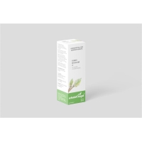 SN Ribes nigrum Glyc Maz TM SN Ribes nigrum Glyc Maz TM