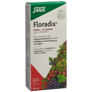 Floradix Железо + Витамин ФЛ 250 мл