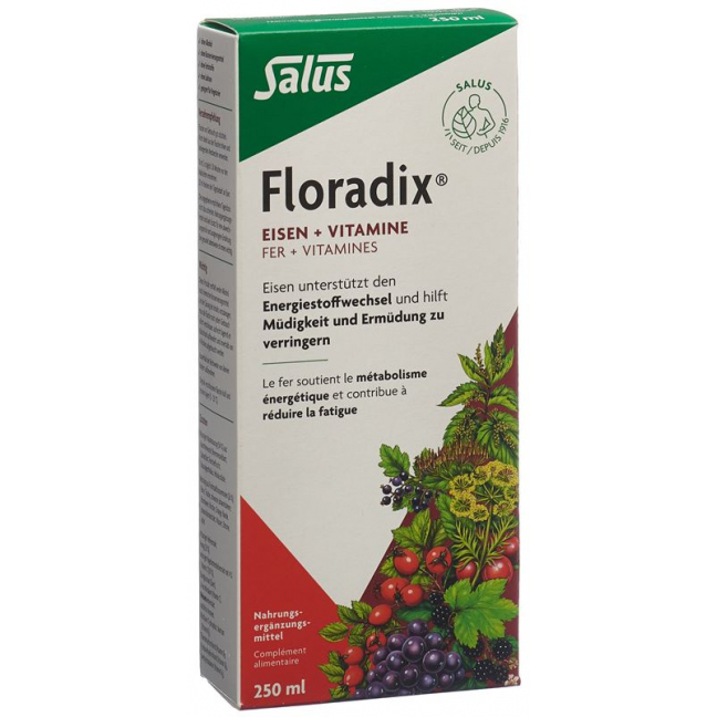 Floradix Железо + Витамин ФЛ 250 мл