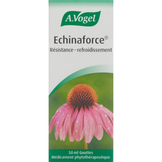 Vogel Echinaforce Resistance Cold Drops флакон 50 мл