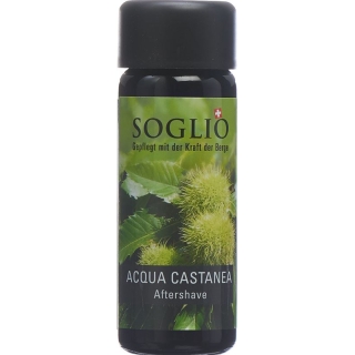 Soglio Aqua Castanea Flasche 100ml