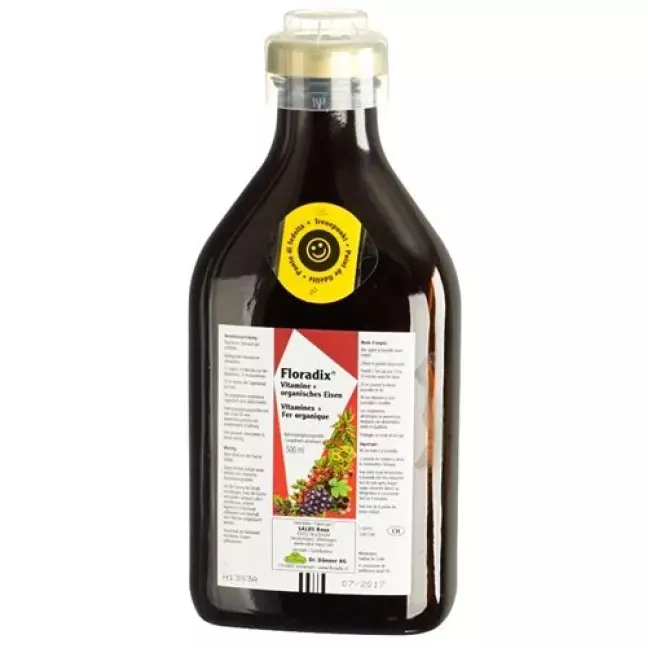 Floradix Vitamine + organisches Eisen Saft Flasche 250мл Floradix Vitamine + organisches Eisen Saft Flasche 250мл