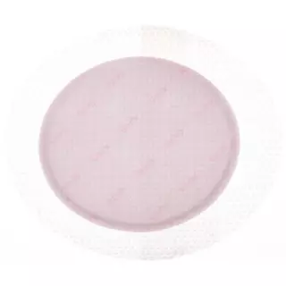 ALLEVYN GB LITE OV 15.2X13.1CM