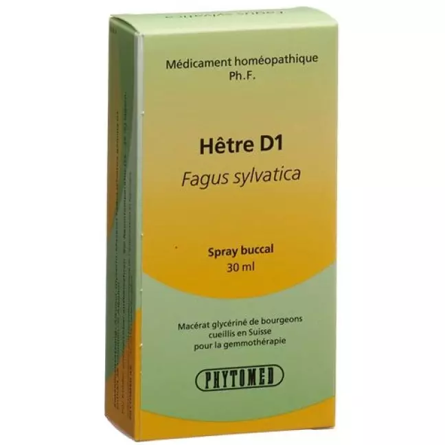 Phytomed Gemmo Rotbuche жидкость D 1 30мл Phytomed Gemmo Rotbuche жидкость D 1 30мл