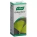 VOGEL GINKGOFORCE VOGEL GINKGOFORCE