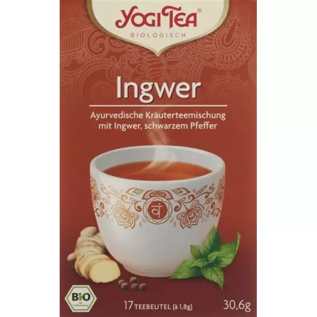 YOGI TEE INGWER YOGI TEE INGWER