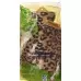 SAENGER WAERMFL 2L VEL LEOPARD SAENGER WAERMFL 2L VEL LEOPARD