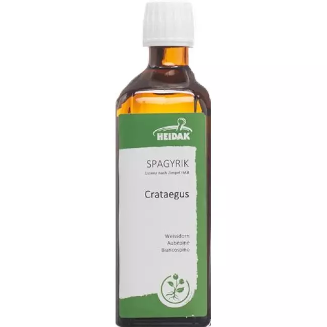 SPAGYRIK CRATAEGUS OXYACANTHA SPAGYRIK CRATAEGUS OXYACANTHA
