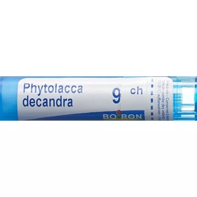 Boiron Phytolacca Decandra в гранулах C 9 4г Boiron Phytolacca Decandra в гранулах C 9 4г