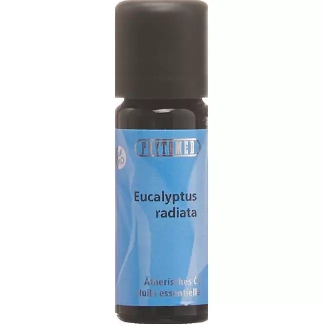 PHYTO EUCALYPTUS RADIATA B