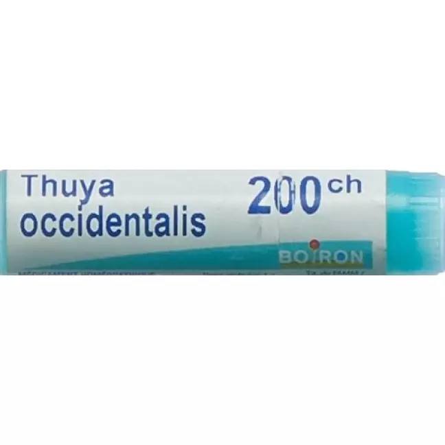Boiron Thuya Occidentalis шарики C 200 1 доза Boiron Thuya Occidentalis шарики C 200 1 доза