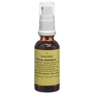 Spagyros Gemmo Pinus Montana Glyc Maz D 1 30мл