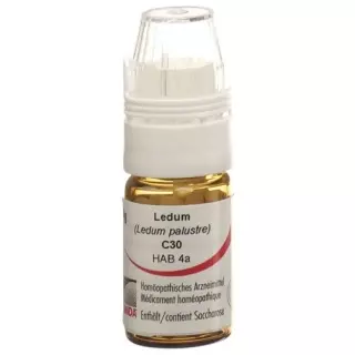 Omida Ledum шарики C 30 м  4г