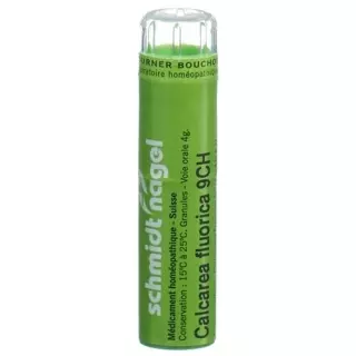 SN CALCAREA FLUORICA CH9