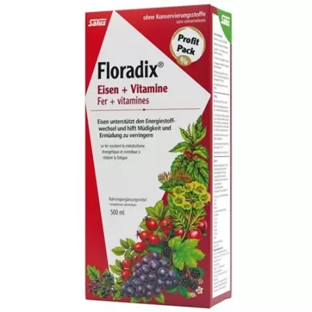 Floradix Vitamine + organisches Eisen Saft Flasche 500мл Floradix Vitamine + organisches Eisen Saft Flasche 500мл
