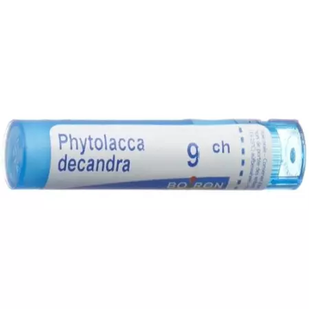 Boiron Phytolacca Decandra в гранулах C 9 4г Boiron Phytolacca Decandra в гранулах C 9 4г