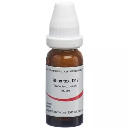 OMIDA RHUS TOXICODENDRON 1