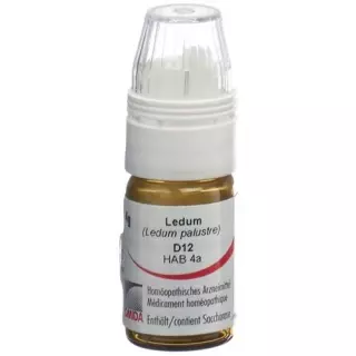 Omida Ledum шарики D 12  4г