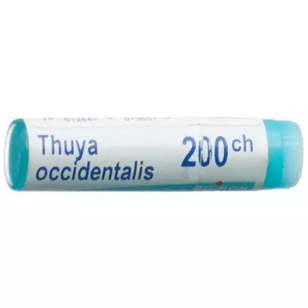 Boiron Thuya Occidentalis шарики C 200 1 доза Boiron Thuya Occidentalis шарики C 200 1 доза