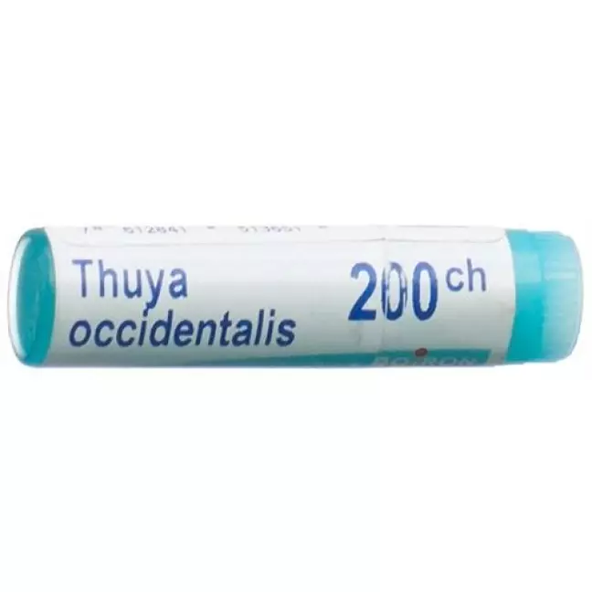 Boiron Thuya Occidentalis шарики C 200 1 доза Boiron Thuya Occidentalis шарики C 200 1 доза
