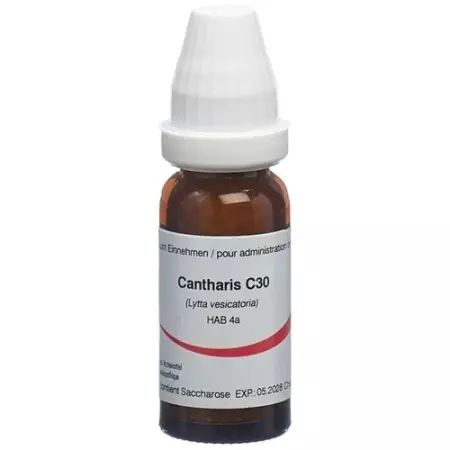 OMIDA CANTHARIS C30